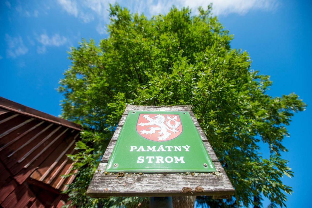 Chata Jasan Kořenov Esterno foto